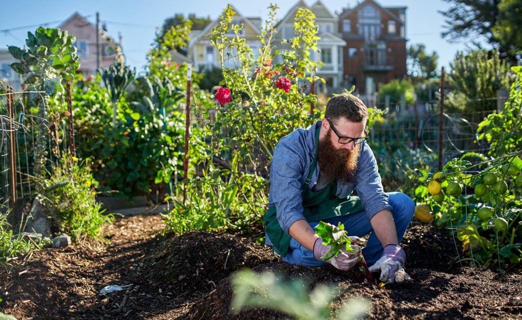 Un huerto de jardín en una casa con espacio verde, uno urbano de terraza, balcón o azotea, también huertos verticales dispuestos a lo alto y no a lo ancho... Con luz solar, ventilación y un poco de espacio, el autoconsumo de hortalizas caseras es perfectamente viable. Tipos de huertos para cultivar en casa y los beneficios que aportan