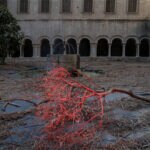 Temps de Flors: BBVA clama respeto a la biodiversidad en la Catedral de Girona Temps de Flors: BBVA clama respeto a la biodiversidad en la Catedral de Girona