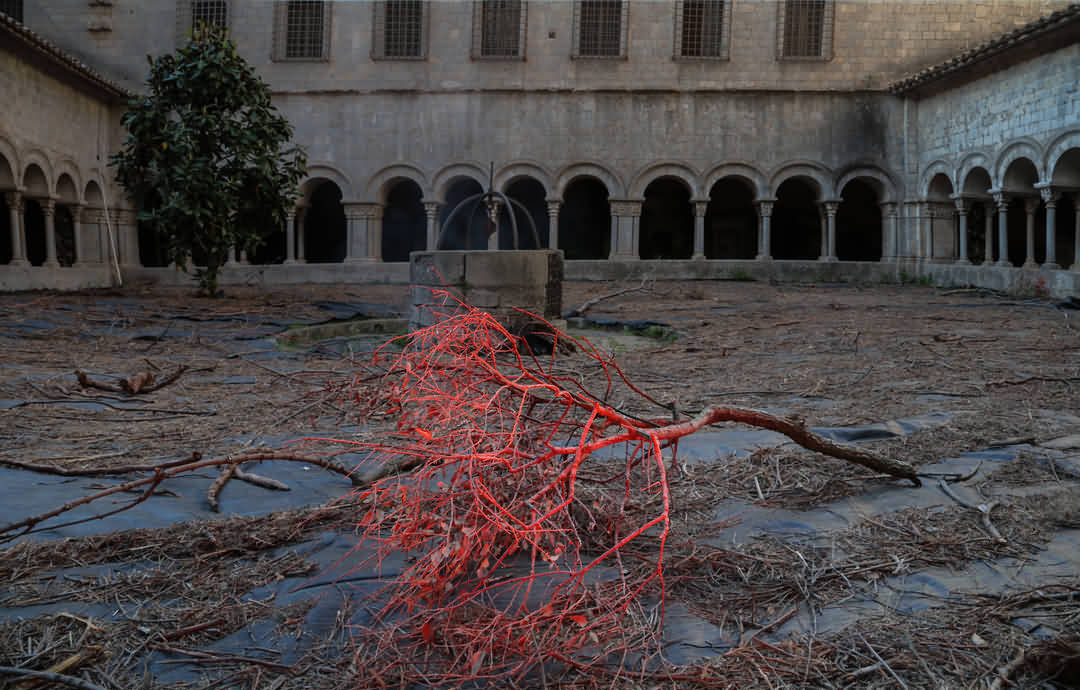 Temps de Flors: BBVA clama respeto a la biodiversidad en la Catedral de Girona Temps de Flors: BBVA clama respeto a la biodiversidad en la Catedral de Girona