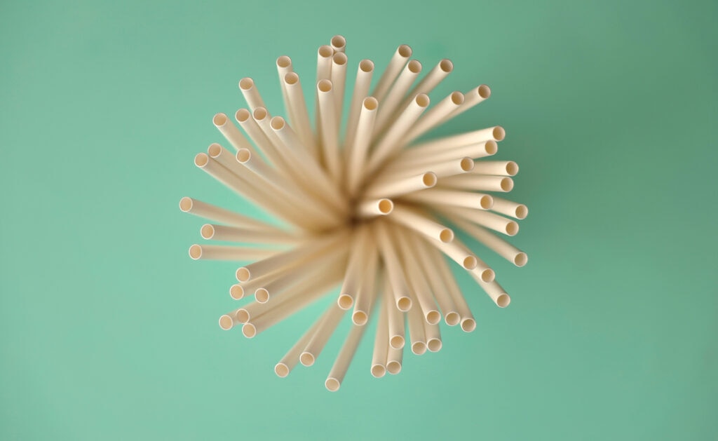 Envases comestibles: protege tus alimentos mientras cuidas del planeta Envases comestibles: protege tus alimentos mientras cuidas del planeta