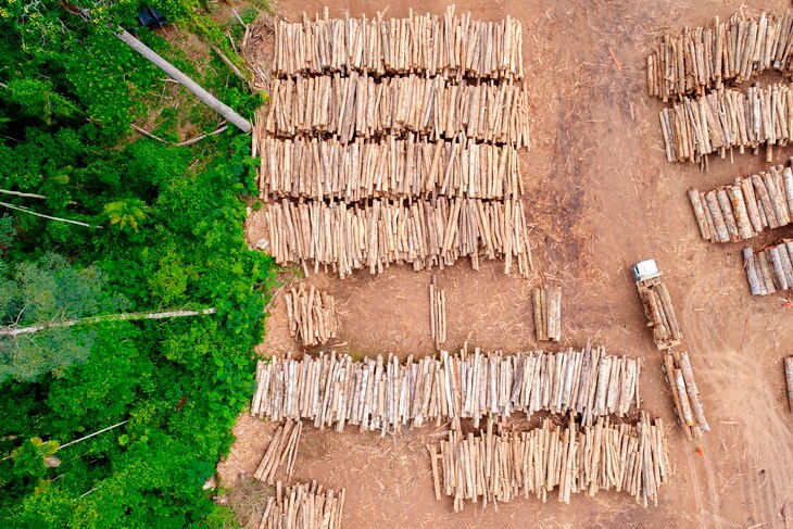 La Tierra tiene unos límites físicos, biológicos y geológicos, una determinada cantidad de recursos que podemos consumir anualmente sin comprometer el suministro al año siguiente. Cada año esa capacidad se completa antes de que se cumplan los 12 meses. Es lo que los expertos llaman sobrecapacidad planetaria y tiene consecuencias en la sostenibilidad del planeta. ¿Qué es la sobrecapacidad del planeta? Los recursos no son infinitos
