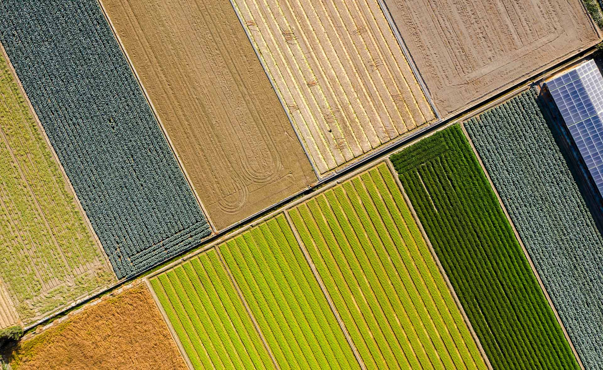 La Tierra tiene unos límites físicos, biológicos y geológicos, una determinada cantidad de recursos que podemos consumir anualmente sin comprometer el suministro al año siguiente. Cada año esa capacidad se completa antes de que se cumplan los 12 meses. Es lo que los expertos llaman sobrecapacidad planetaria y tiene consecuencias en la sostenibilidad del planeta. ¿Qué es la sobrecapacidad del planeta? Los recursos no son infinitos
