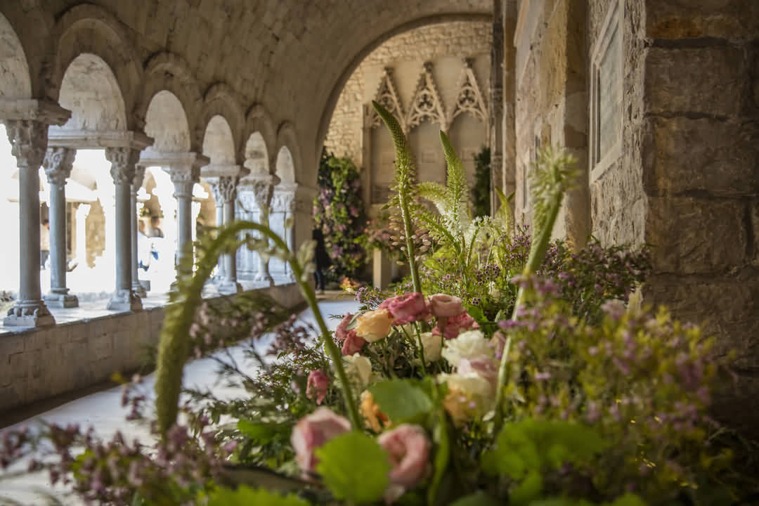 Temps de Flors: BBVA clama respeto a la biodiversidad en la Catedral de Girona
