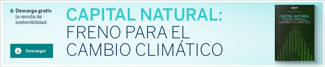 banner-monografico-capital-natural-4x1