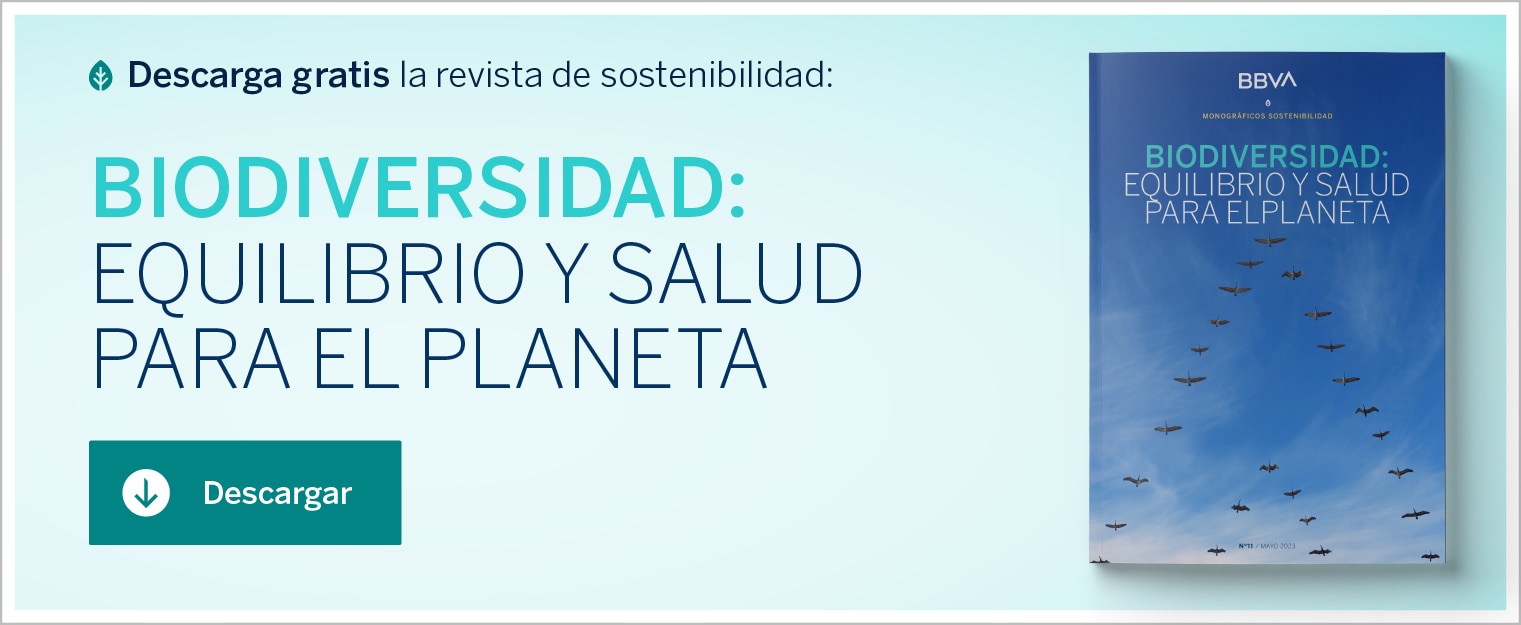 Biodiversidad: equilibrio y salud para el planeta