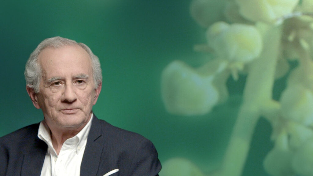 José Carlos Otero: ¿No te gustan los insectos? Tu supervivencia depende de ellos