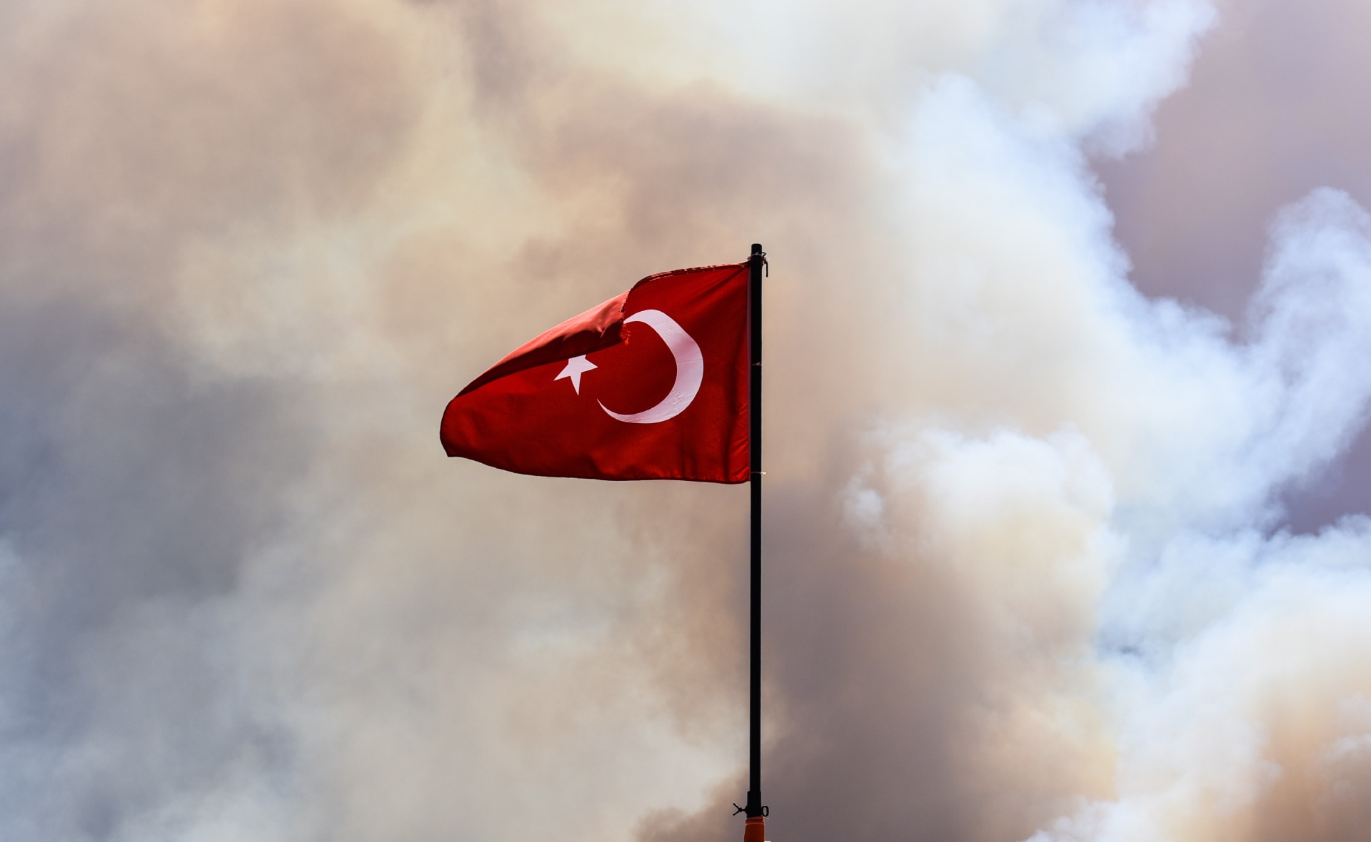 Garanti BBVA y WWF-Turquía unen fuerzas en la lucha contra los incendios forestales