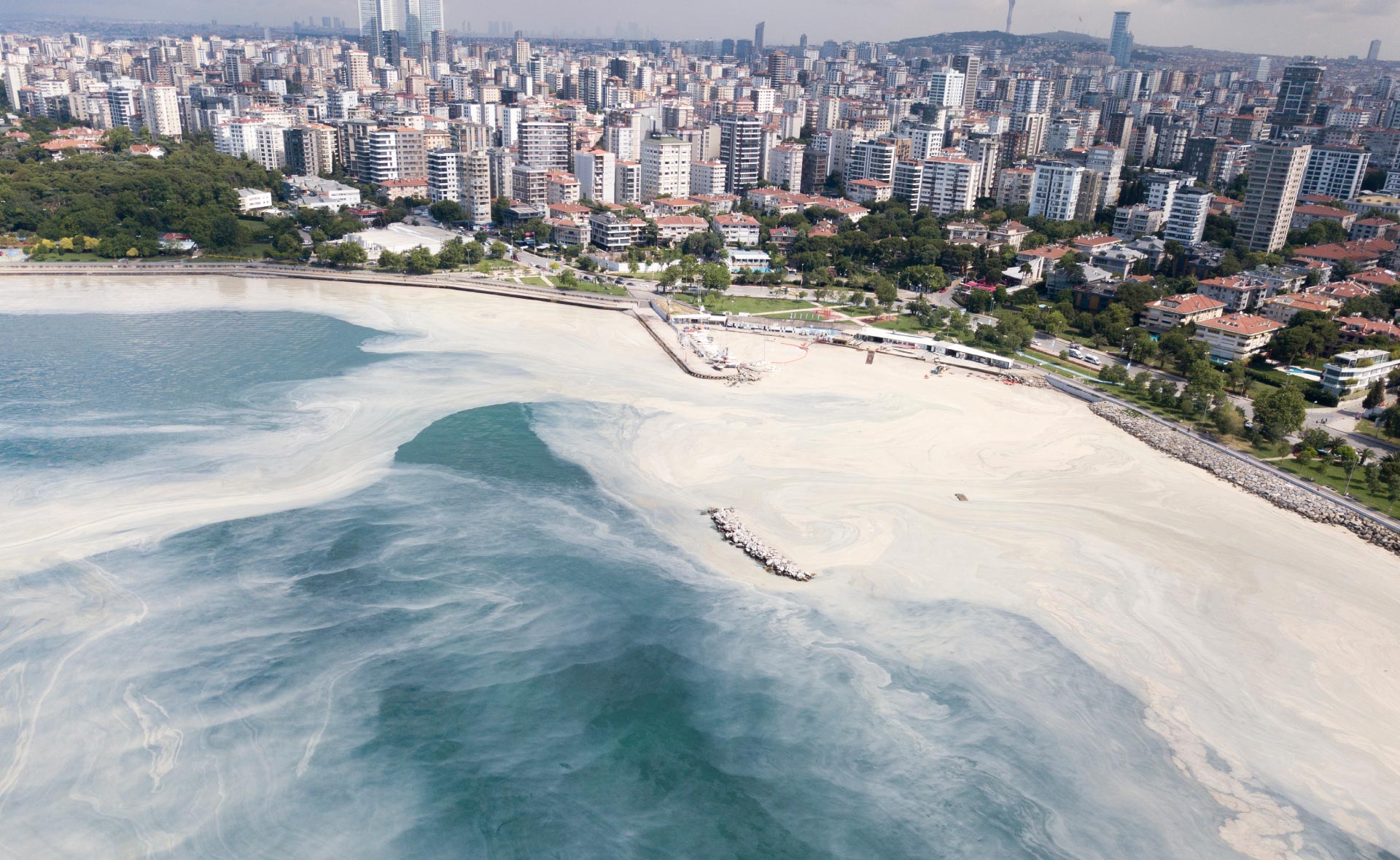 Garanti BBVA y TURMEPA retiran y reciclan 30 toneladas de residuos del Mar de Mármara