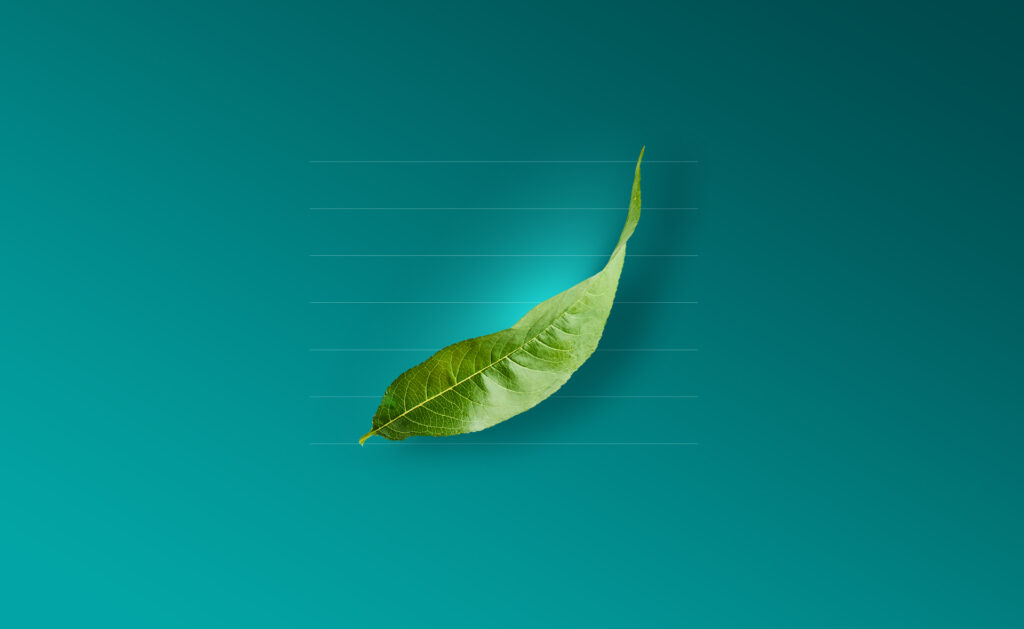¿Qué y por qué se caracteriza la ‘green inflaction’ o inflación verde? ¿Qué y por qué se caracteriza la ‘green inflaction’ o inflación verde?