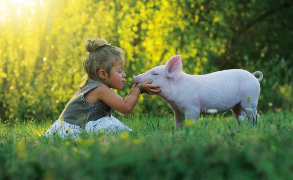 Hoy más de 1.000 millones de personas sufren desnutrición y, al mismo tiempo, un tercio de la comida que se produce cada año en el mundo acaba en la basura. La seguridad alimentaria necesita de una transformación que acabe con el hambre, proteja la biodiversidad y reduzca el cambio climático. La conexión entre hambre y biodiversidad: la sostenibilidad del sistema alimentario