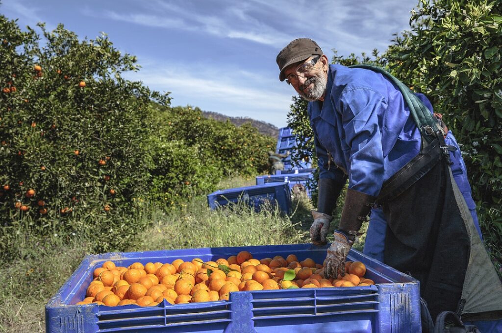 BBVA y los hermanos Roca premian a los diez mejores productores sostenibles de España de 2022