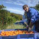 BBVA y los hermanos Roca premian a los diez mejores productores sostenibles de España de 2022