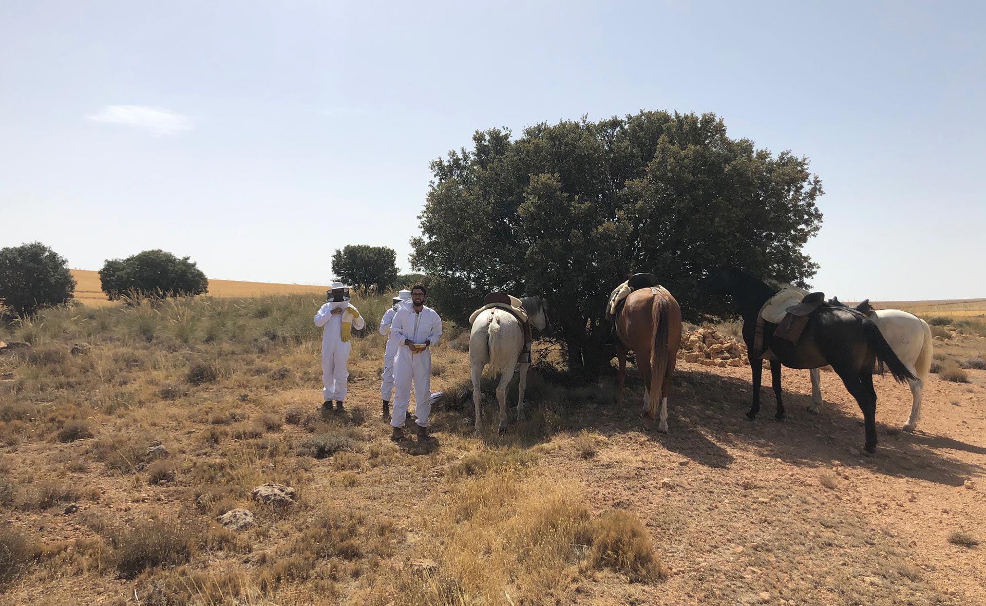 Alfonso Chico de Guzmán regresó a la finca que su tatarabuelo había comprado casi 200 años antes