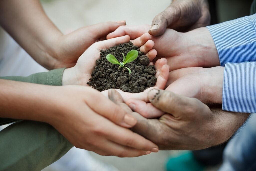 BBVA-Mexico-y-Ectagono-unen-esfuerzos-para-colaborar-con-la-restauracion-de-los-ecosistemas-en-Mexico BBVA-Mexico-y-Ectagono-unen-esfuerzos-para-colaborar-con-la-restauracion-de-los-ecosistemas-en-Mexico