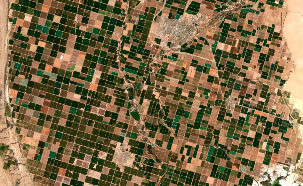 La contaminación de los suelos afecta a todos los continentes y hasta a las regiones más remotas de la Tierra. Aunque suele resultar invisible, afecta a la capacidad de los suelos para ofrecer sus servicios ecosistémicos, esenciales para mantener la salud de la naturaleza y de los seres humanos. Un gran gigante silencioso: ¿cómo nos afecta la contaminación del suelo?