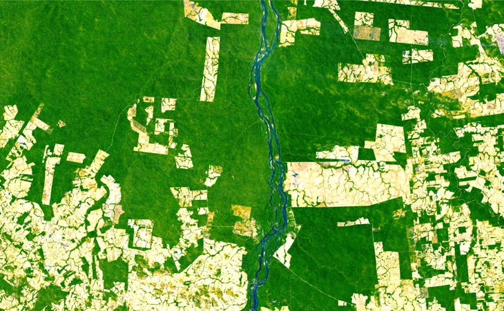 La contaminación de los suelos afecta a todos los continentes y hasta a las regiones más remotas de la Tierra. Aunque suele resultar invisible, afecta a la capacidad de los suelos para ofrecer sus servicios ecosistémicos, esenciales para mantener la salud de la naturaleza y de los seres humanos. Un gran gigante silencioso: ¿cómo nos afecta la contaminación del suelo?