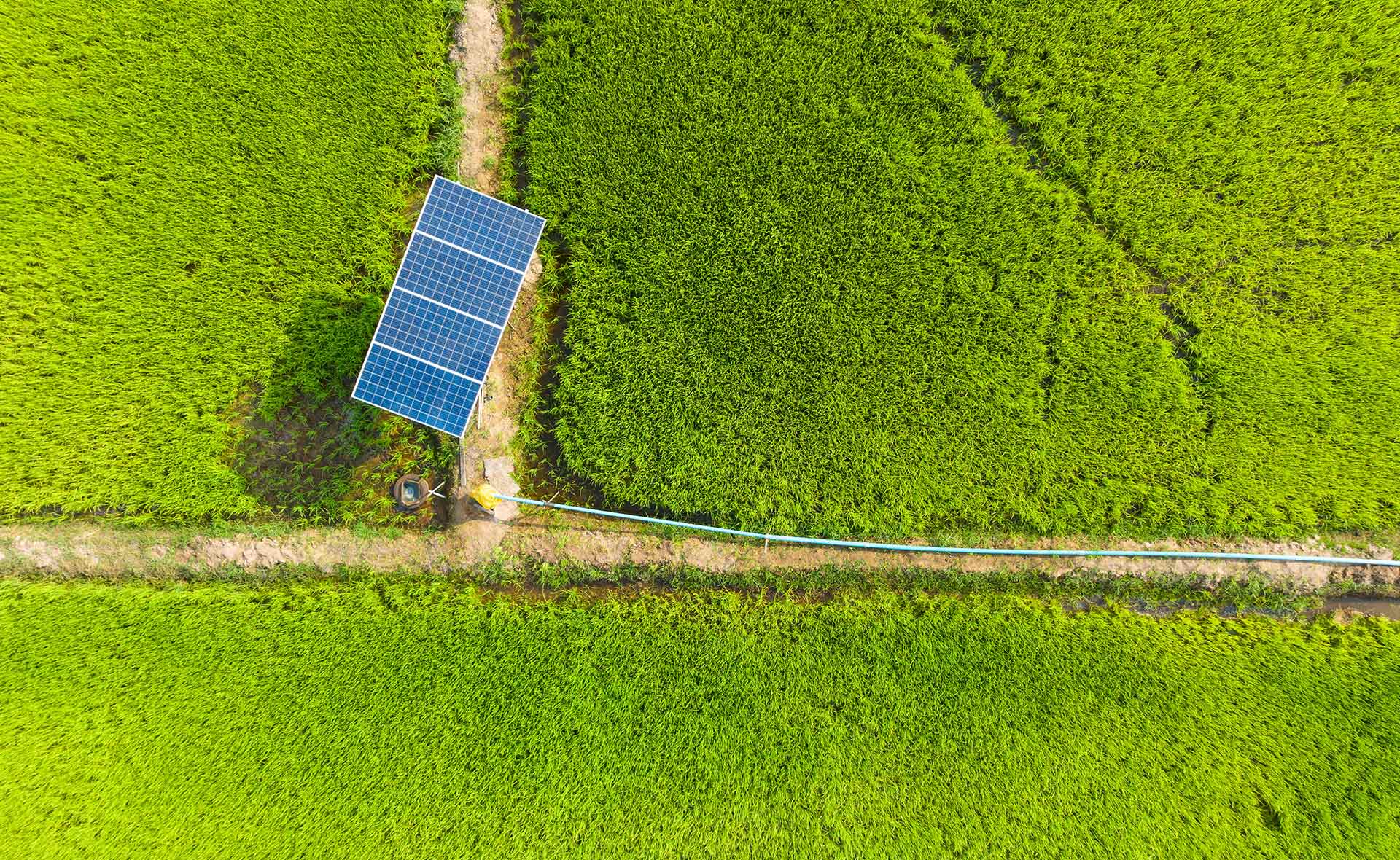 Claves para mejorar tu huella de carbono como empresa