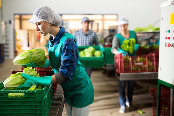 Convertir una materia prima en alimento elaborado, envasado, distribuido y vendido requiere contaminar menos, hacer un uso eficiente de agua y energía o gestionar residuos. La industria alimentaria tiene un desafío: dar de comer en 2050 a una población que rondará los 10.000 millones de personas. Industria alimentaria, una cadena de valor para llegar de la granja a la mesa