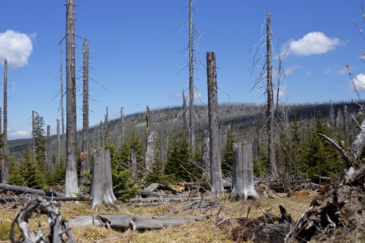 Los residuos pueden adquirir diversas formas y estados. Son industriales, urbanos y agrícolas y de su procesamiento depende el daño que puedan hacer al medioambiente y a nuestra salud. En algunos países se producen unos 475 kilos de residuos sólidos urbanos por persona. ¿Qué tipo de residuos existen y cómo se categorizan? Vida y procesamiento
