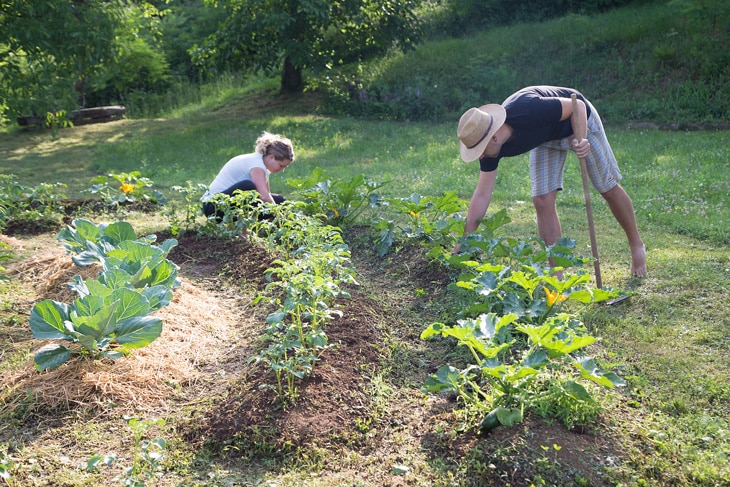 Permacultura: aprender de la naturaleza para una vida sostenible Permacultura: aprender de la naturaleza para una vida sostenible