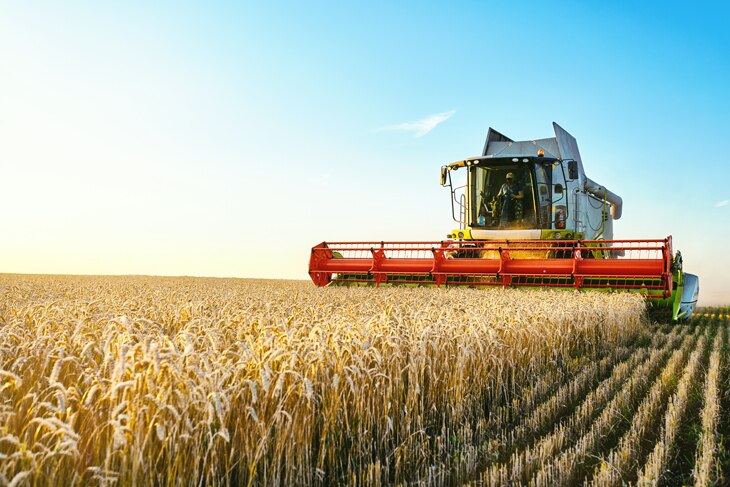 Tractores agrícolas: cómo hacer más sostenible el símbolo de la mecanización Tractores agrícolas: cómo hacer más sostenible el símbolo de la mecanización