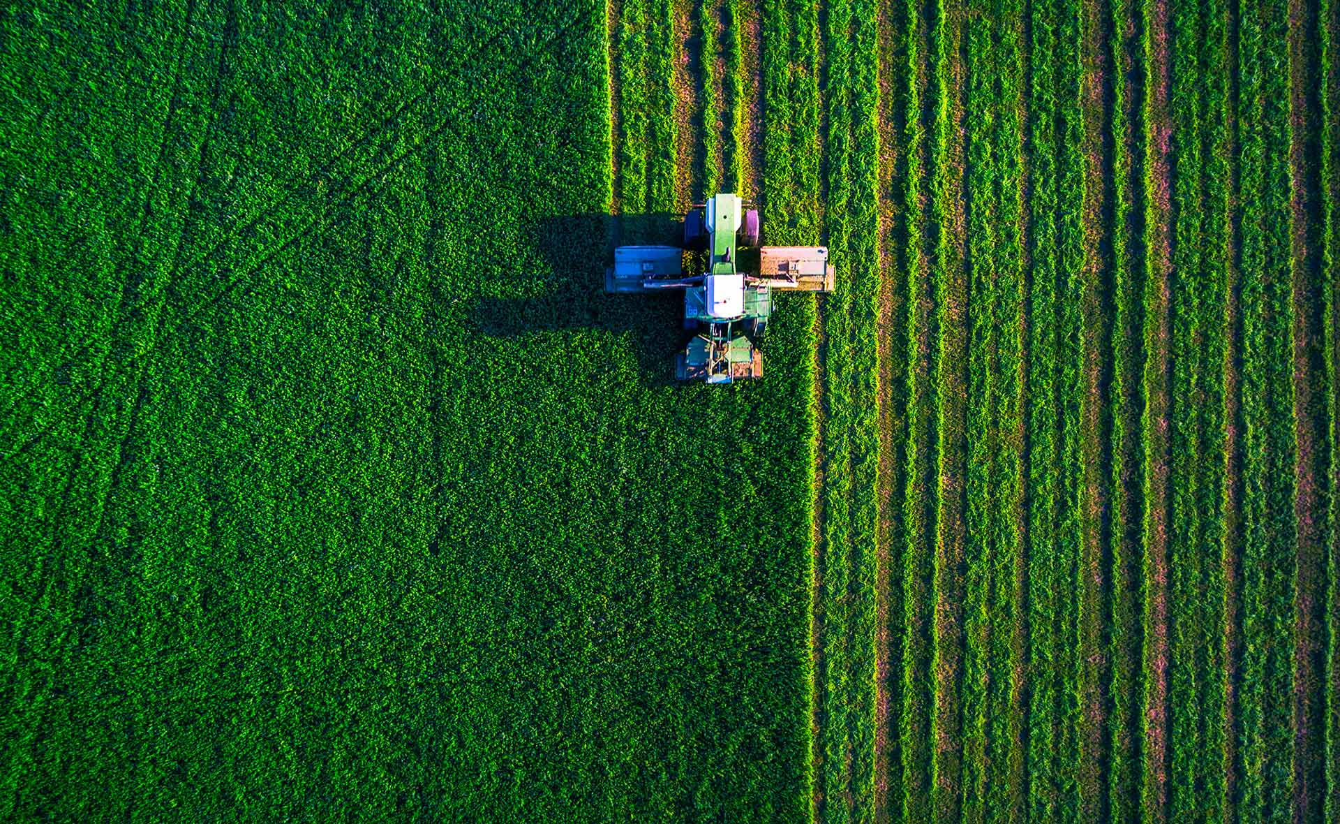 Tractores agrícolas: cómo hacer más sostenible el símbolo de la mecanización