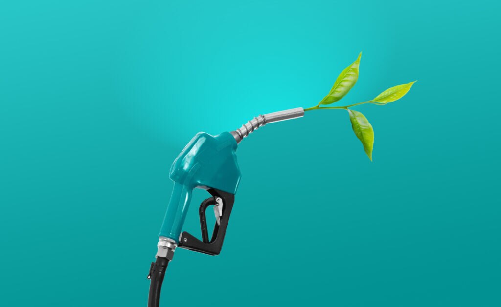 Los biocombustibles, una opción sostenible para el transporte