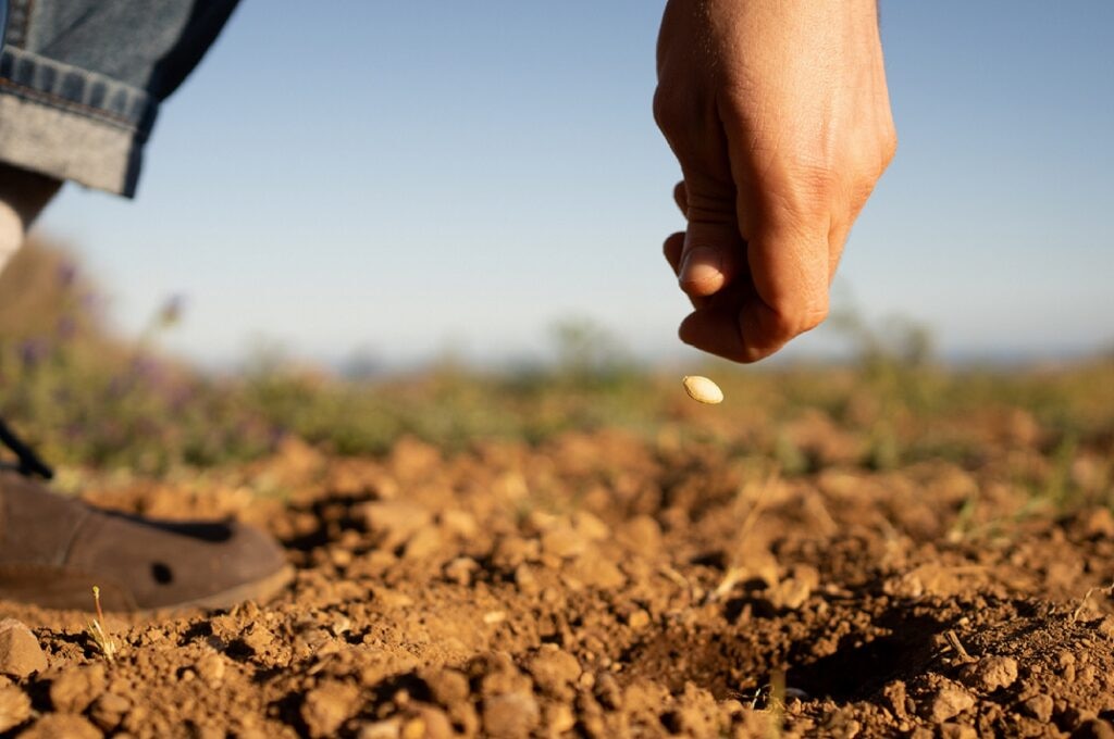 BBVA y los hermanos Roca premian a los diez mejores productores sostenibles de España de 2022