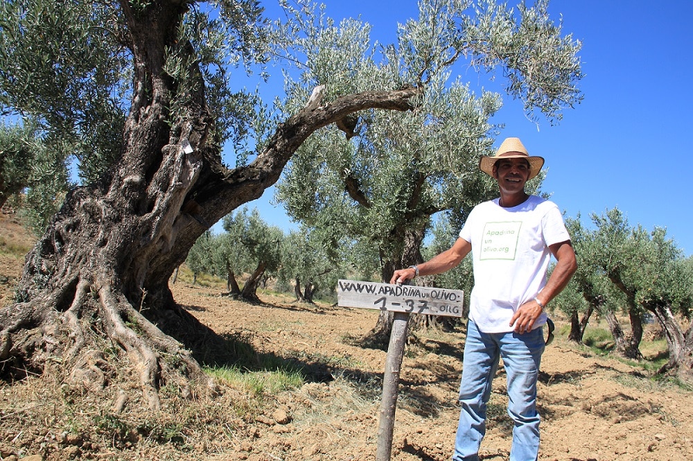 BBVA y los hermanos Roca premian a los diez mejores productores sostenibles de España de 2022