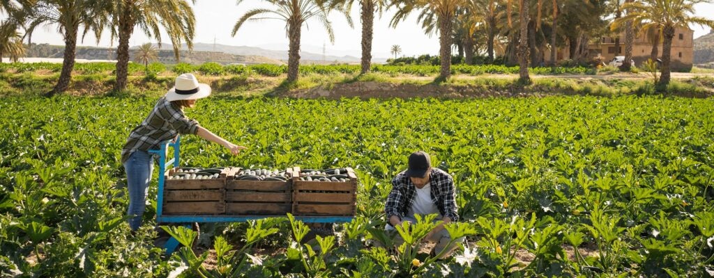 BBVA ha dado a conocer el nombre de los diez ganadores de la tercera edición de los Premios a los Mejores Productores Sostenibles. BBVA y los hermanos Roca premian a los diez mejores productores sostenibles de España de 2022