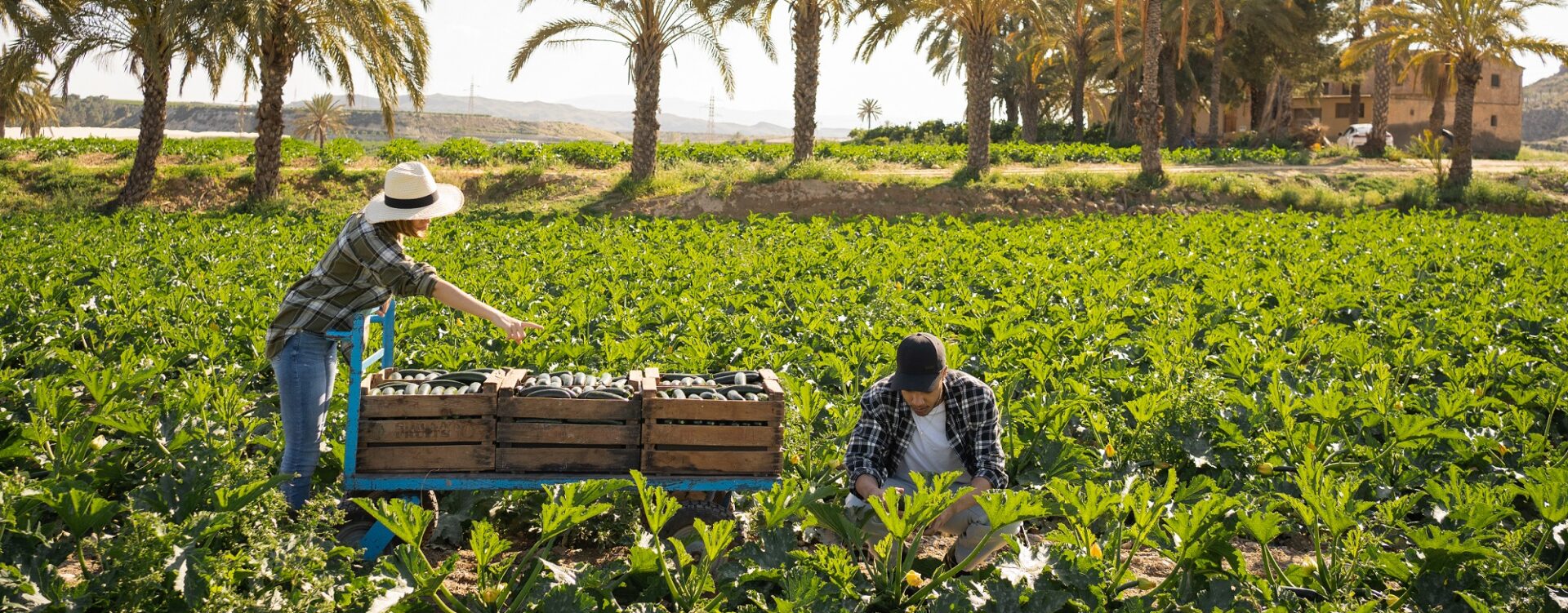 BBVA y los hermanos Roca premian a los diez mejores productores sostenibles de España de 2022