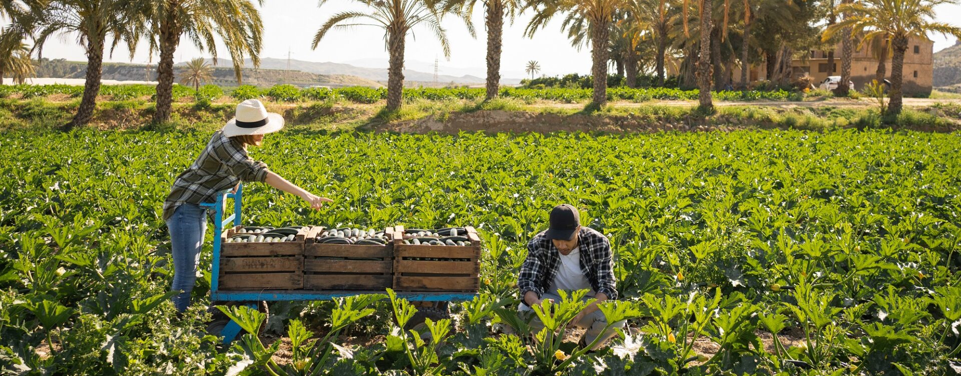 https://www.bbva.com/wp-content/uploads/2022/07/ganadores-concurso-productores-sostenibles-bbva-e1657709881829-1920x751.jpg