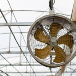 La climatización e iluminación de las granjas de animales y su papel en la eficiencia energética