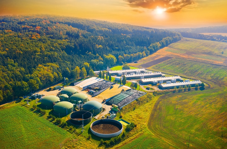 Limpia y con futuro: guía para contratar energías renovables Limpia y con futuro: guía para contratar energías renovables