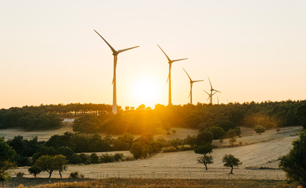 Garanti BBVA financed 22.5% of wind energy projects in Türkiye