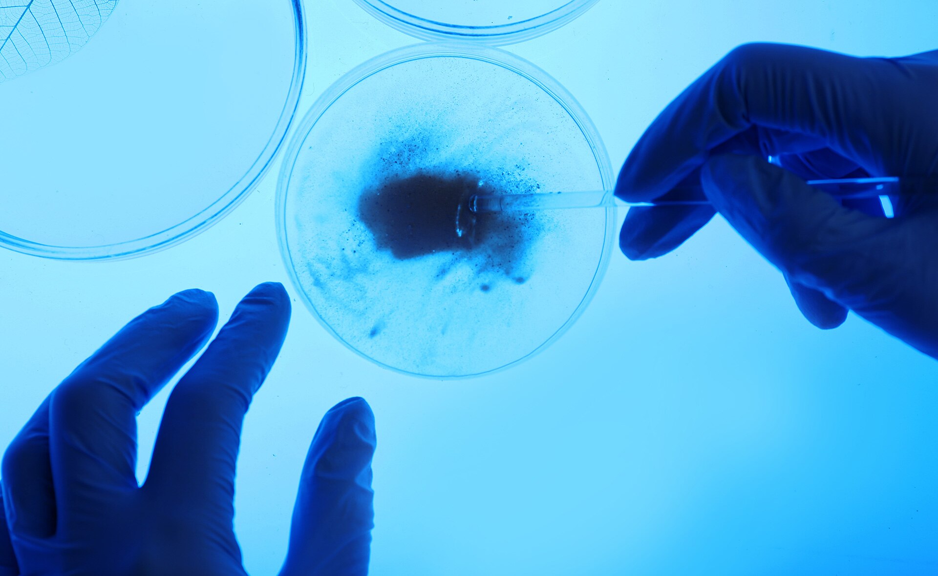 En un momento en el que la humanidad se enfrenta a grandes desafíos, es fundamental articular una respuesta global y coordinada basada en la investigación, la innovación y la educación. Y en Blink queremos poner nuestro granito de arena en esta lucha. Por eso, dedicamos el primer capítulo del 'podcast' de 'Blink' de esta nueva temporada a hablar de los ganadores de los Premios Fundación BBVA Fronteras del Conocimiento. Premios Fronteras del Conocimiento: conoce a catorce líderes mundiales en investigación científica y creación cultural