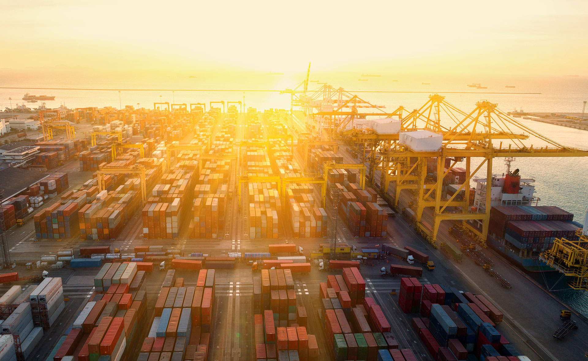 BBVA-research-observatorio-regional-España-exportaciones