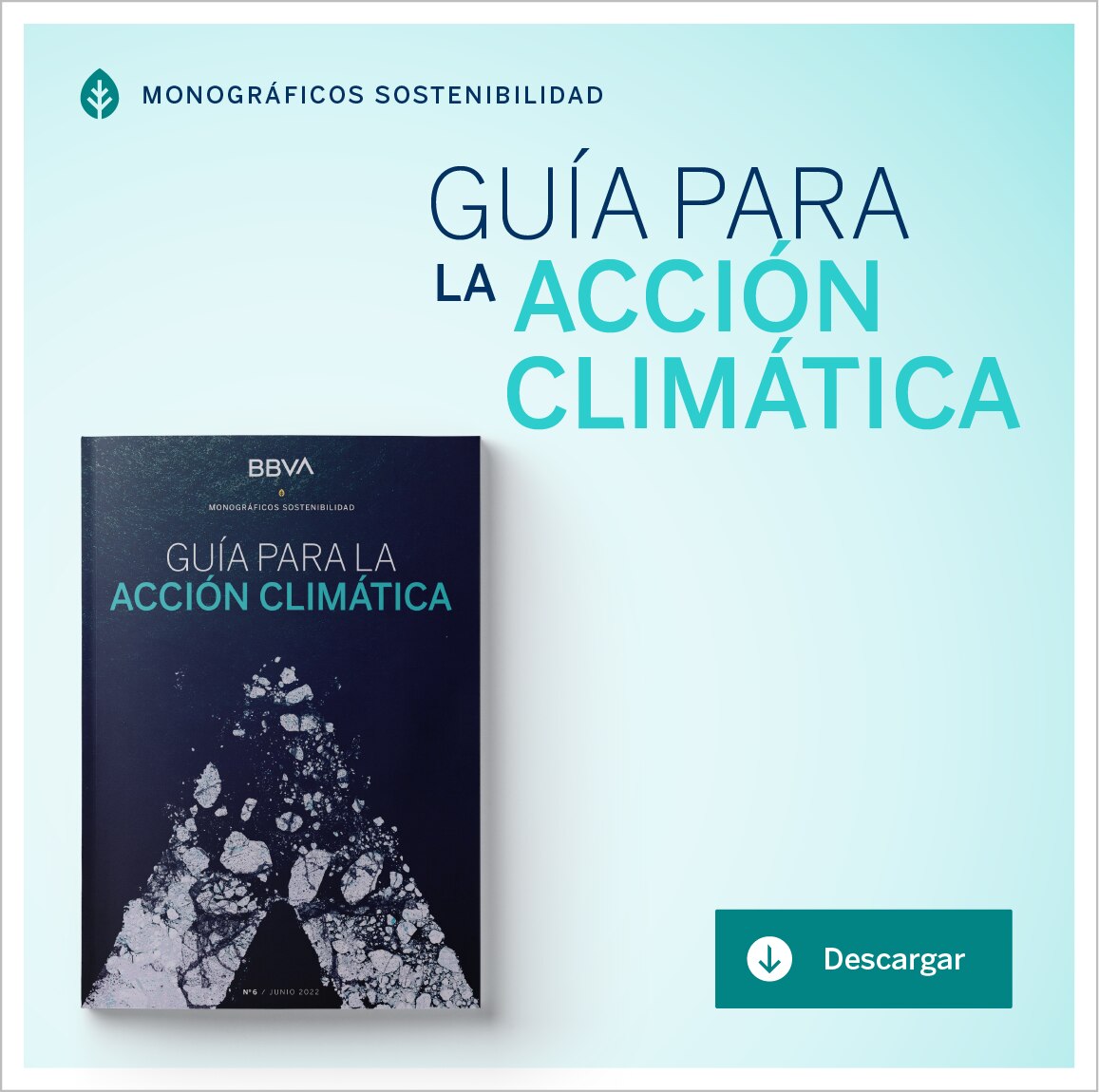 banners promo monografico accion por el clima-2x2
