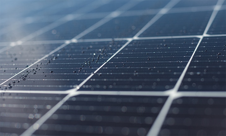 Cosechar bajo paneles solares: los cultivos agrovoltaicos empiezan a ver la luz Cosechar bajo paneles solares: los cultivos agrovoltaicos empiezan a ver la luz