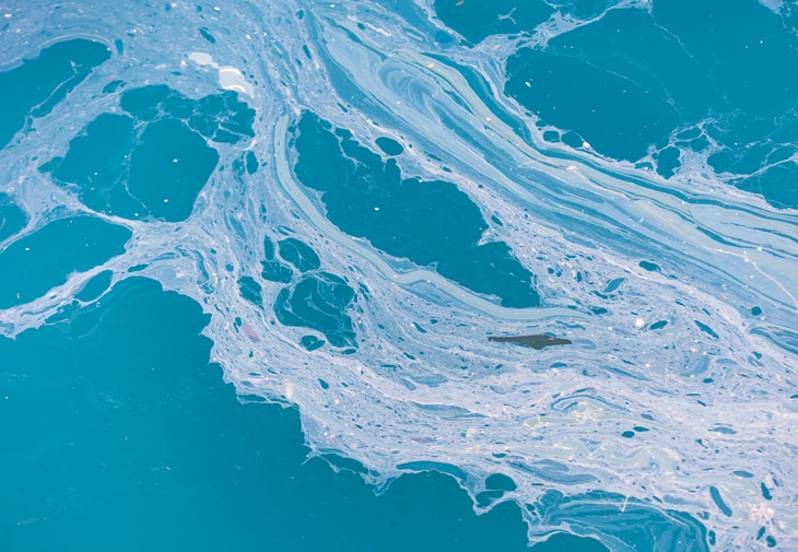La contaminación de los océanos se ha disparado en los últimos siglos. Cada año, 13 millones de toneladas de plástico acaban en sus aguas. Estos vertidos, el de nutrientes y la acidificación de las aguas está impactando sobre los ecosistemas y su sostenibilidad. Estas son las causas y las consecuencias de la contaminación del mar-