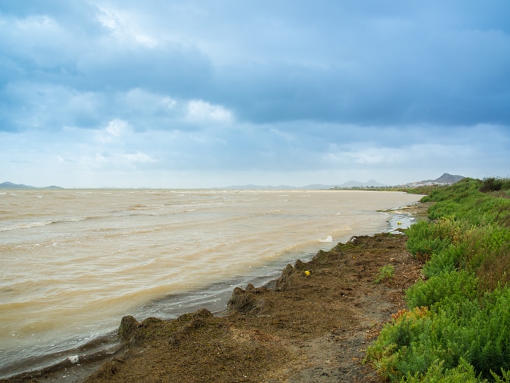 La contaminación de los océanos se ha disparado en los últimos siglos. Cada año, 13 millones de toneladas de plástico acaban en sus aguas. Estos vertidos, el de nutrientes y la acidificación de las aguas está impactando sobre los ecosistemas y su sostenibilidad. Estas son las causas y las consecuencias de la contaminación del mar-