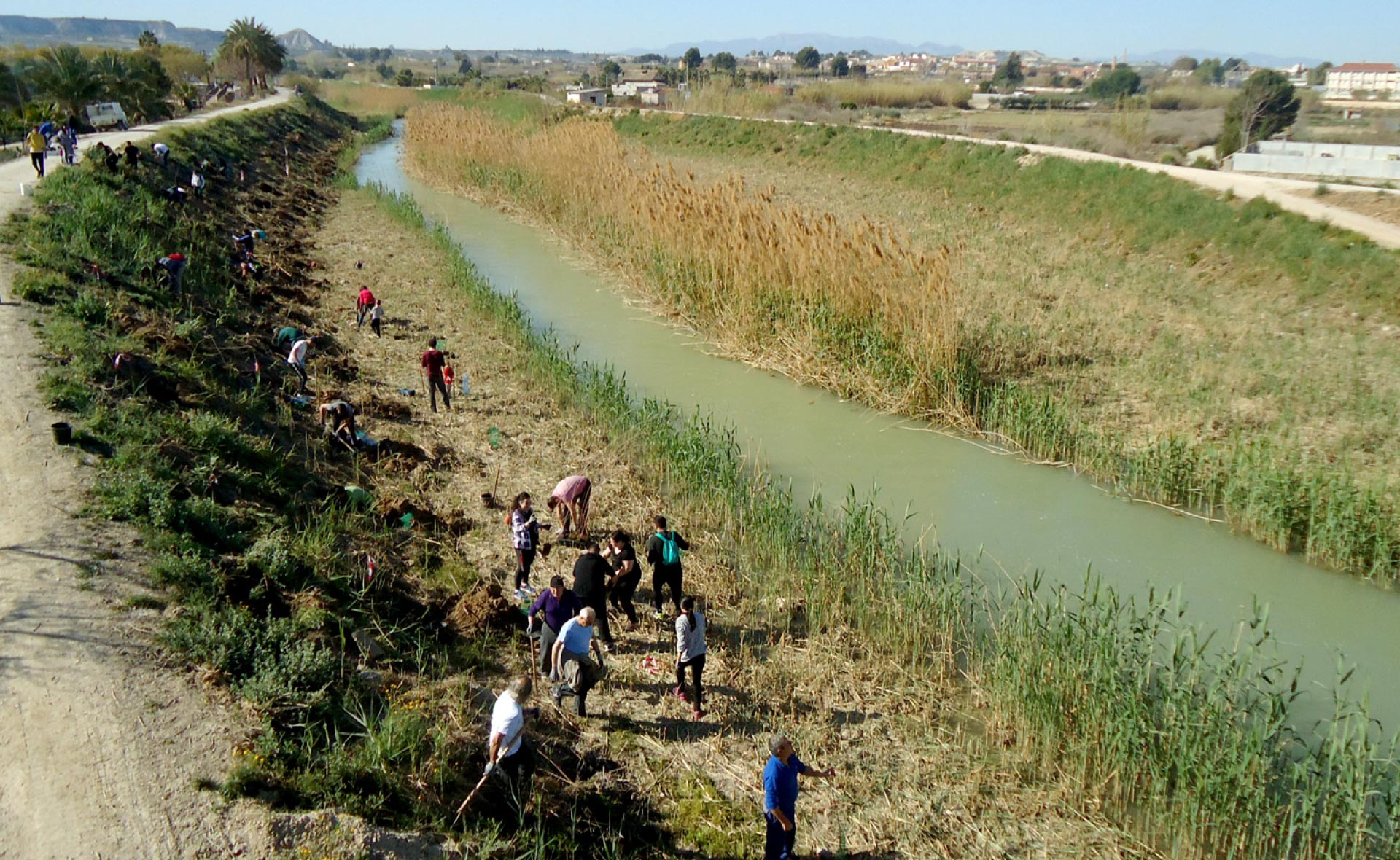 La Asociación de Naturalistas del Sureste lleva casi cincuenta años surcando la realidad para proteger áreas naturales y especies amenazadas. Medio siglo defendiendo la naturaleza da para mucho: esta es la historia de ANSE