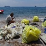 Medio siglo defendiendo la naturaleza da para mucho: esta es la historia de ANSE