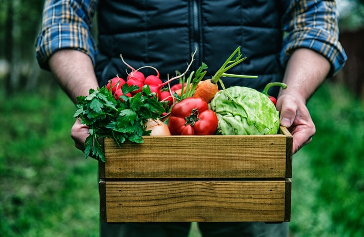 Cada vez más hogares optan por llenar su despensa de productos sostenibles. Según el Ministerio de Agricultura, Pesca y Alimentación de España, más de la mitad de la población ya ha consumido algún alimento ecológico. De la misma forma, tanto los productores ecológicos como la superficie agraria ecológica siguen aumentando. La alimentación ecológica crece en España: más del 55% de la población ha consumido productos ecológicos
