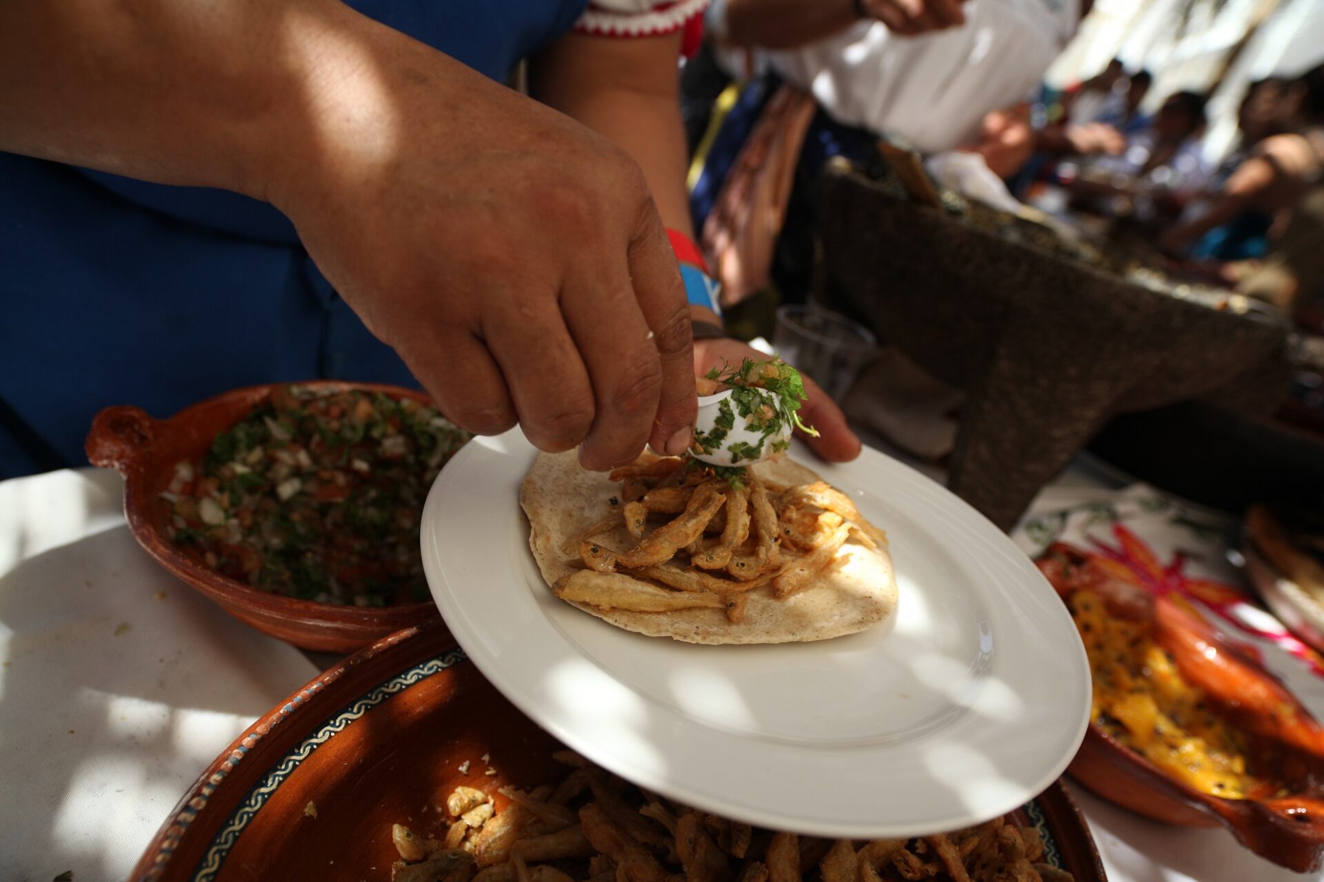 VII Foro de Gastronomía Mexicana, Iniciativa apoyada por la Fundación BBVA México