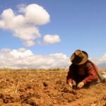 Agricultora peruana