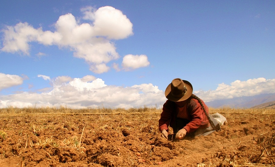 Agricultora peruana Agricultora peruana
