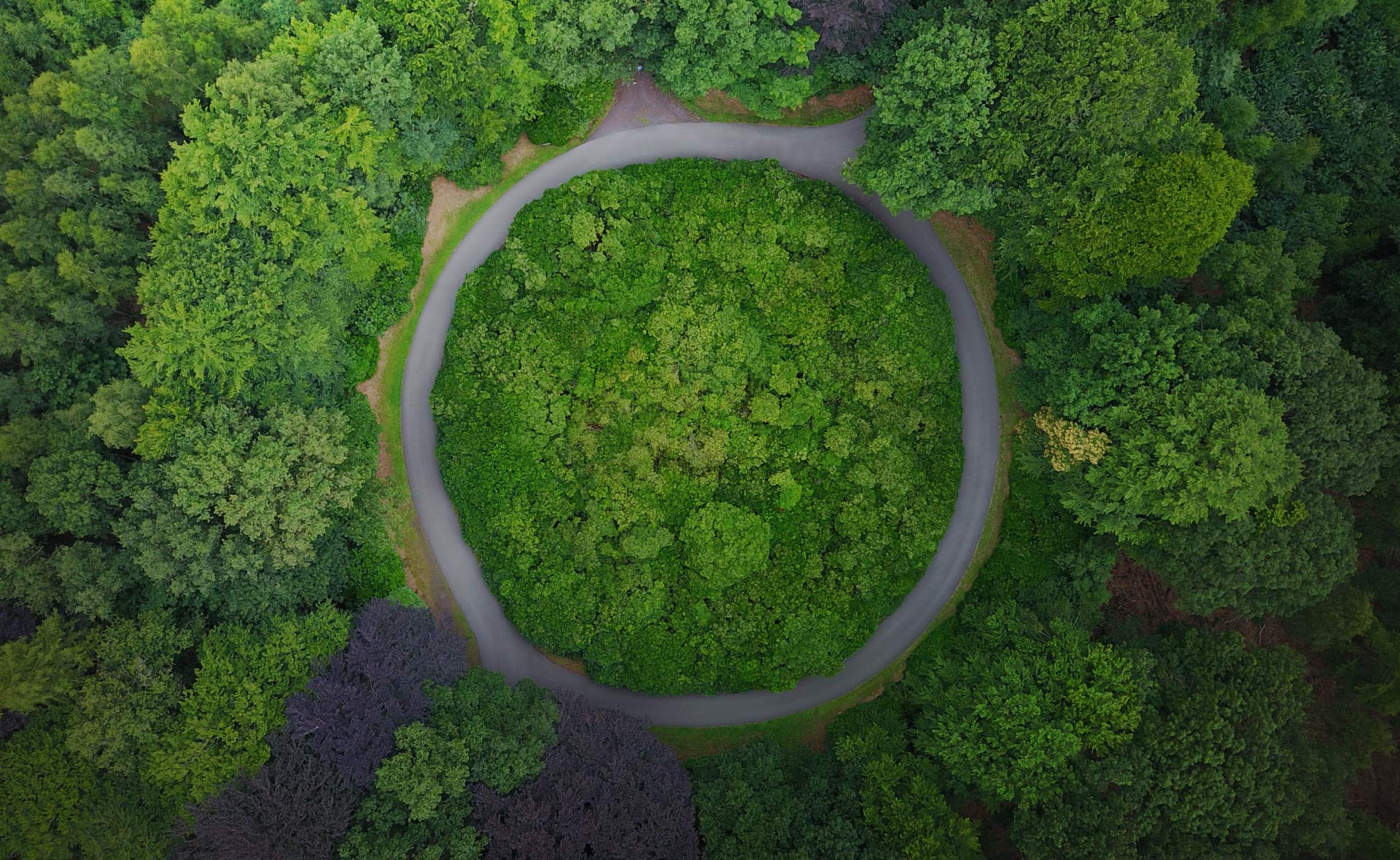 Para impulsar la descarbonización del planeta, las empresas deben extender sus objetivos de reducción de emisiones a lo largo de toda su cadena de suministro, incluyendo proveedores, transportistas e incluso consumidores. Esto implica un enorme reto de organización, medición y análisis. Estrategias como acercar la producción al consumo, incorporar el ecodiseño, la circularidad y el trabajo junto con grupos de interés en cada eslabón son algunas de las claves. Cómo reducir emisiones en toda la cadena de valor: el reto de descarbonizar