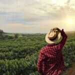 BBVA-Mexico-y-el-Consejo-Nacional-Agropecuario-CNA-firman-acuerdo-para-impulsar-el-financiamiento-a-las-actividades-agropecuarias-y-agroindustriales-del-pais