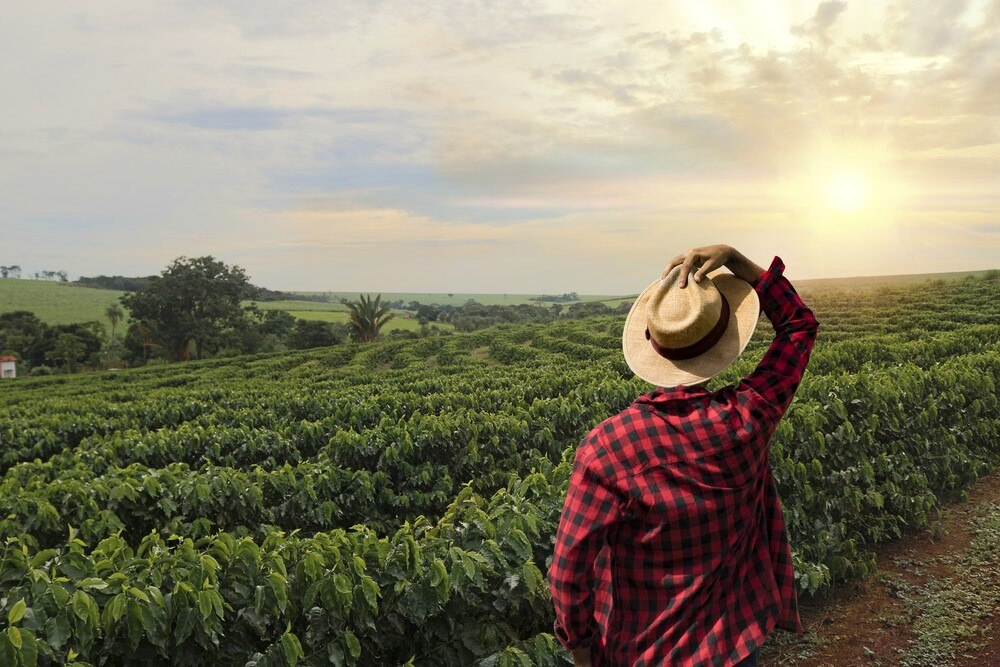 BBVA-Mexico-y-el-Consejo-Nacional-Agropecuario-CNA-firman-acuerdo-para-impulsar-el-financiamiento-a-las-actividades-agropecuarias-y-agroindustriales-del-pais BBVA-Mexico-y-el-Consejo-Nacional-Agropecuario-CNA-firman-acuerdo-para-impulsar-el-financiamiento-a-las-actividades-agropecuarias-y-agroindustriales-del-pais